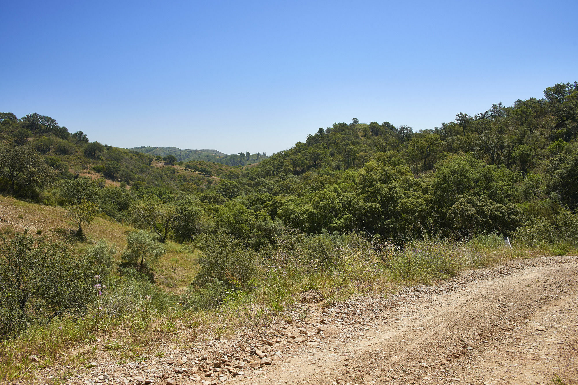 Hotel Rural Quinta Do Marco - Nature & Dining Tavira Luaran gambar